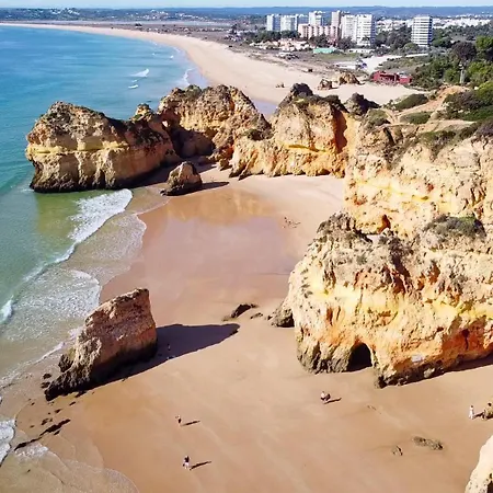 No Coracao Da Da Rocha Candimar 4f *